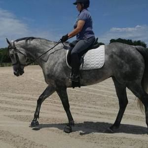 Meet your Posher, Tamara